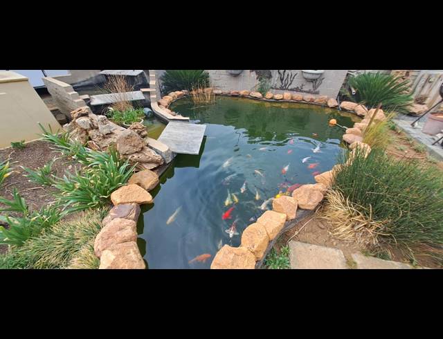 3 BEDROOM HOUSE FOR SALE IN OLIFANTSNEK